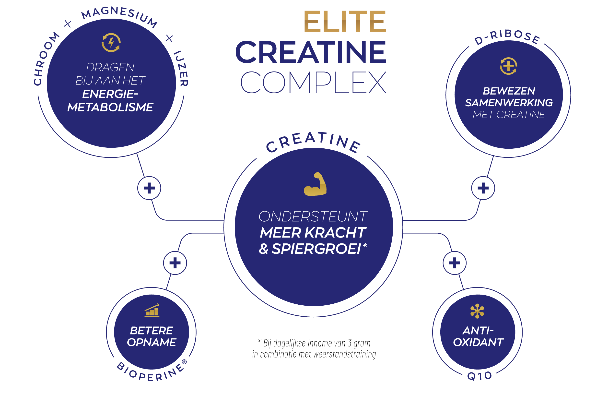 Elite creatine complex visual